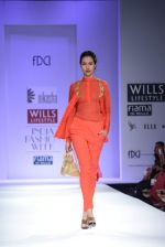 Model walks the ramp for Nikasha Show at Wills Lifestyle India Fashion Week 2013 Day 1 in Mumbai on 13th March 2013 (91).JPG